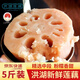 洪湖農家京東包郵 蓮藕新鮮 洪湖粉藕 蔬菜 生鮮5斤 火鍋食材 洪湖蓮藕