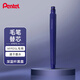 派通（Pentel ）科學(xué)毛筆 國風(fēng)練字繪畫(huà)軟毛筆XFRPD-A 速干科學(xué)毛筆替芯（XFPD5L專(zhuān)用替芯）
