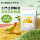 布卡星（BUCATSTATE）鸚鵡糞便墊料鳥(niǎo)籠專(zhuān)用天然清香鳥(niǎo)屎沙驅蚊除臭無(wú)塵木屑用品 小花團鳥(niǎo)砂-蘋(píng)露晨花【不易散不沾爪 驅蚊除臭】