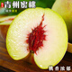 閩農(nóng)語果新鮮青州蜜桃 當季現(xiàn)摘高山桃子整箱送禮新鮮山東桃子青州水蜜桃凈重2.5斤/約15-20個/嘗鮮裝【精選老樹果，吃著更香甜】