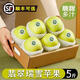 順豐正宗陜西白水瑞雪蘋(píng)果5斤翡翠青蘋(píng)果新鮮水果脆甜瑞陽(yáng)禮盒L3 5斤中小果【順豐現摘精品】70-75mm左右