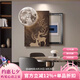 嶼見爾輕奢福祿生財電表箱裝飾畫2025新款數顯時鐘壁畫配電箱遮擋掛畫 A-月韻雅時 總45*55（底框35*45/覆蓋25*35） 左開門款+格調黑（鋁合金畫框+晶瓷工藝） 無框UV精雕(高清晶瓷畫+