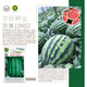 京農研農科院西瓜種子京欣京美甜王8424麒麟瓜無(wú)籽懶漢冰糖小西瓜種籽孑 京研京美10K02約400粒