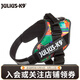 JULIUS K9胸背帶狗狗胸背可調節 大小型犬背心式防爆沖帶反光條 舒適版胸背 雷鬼風(fēng) size0體重14-25kg胸圍58-76cm