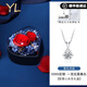 COISEE.YL莫桑石999純銀項鏈女2025新款鎖骨鏈高級感七夕送女友禮物 一克拉莫桑石+白金色
