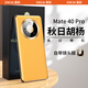 恩彩（ENCAI） 華為mate40pro手機殼鏡頭全包5g防摔保護套真皮手感素皮軟殼男女新款 Mate 40 Pro【秋日胡楊】全包鏡頭