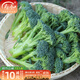 壽禾 西蘭花種子耐寒優(yōu)秀秋冬季農家蔬菜四季播青菜西藍花菜籽種籽 壽禾苔妃西蘭苔種子30粒x2包