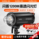 神牛（Godox）閃客1200 III三代攝影閃光燈1200W大功率攝影棚補光燈內置2.4G人像靜物美食商業(yè)拍攝攝影燈影室燈 閃客1200III三代閃光燈標配