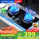 創(chuàng)維（Skyworth）【國(guó)家補(bǔ)貼20%】燃?xì)庠蠲簹庠铍p灶家用5.2kW九孔聚能猛火鴛鴦灶具臺(tái)式/嵌入式鋼化玻璃灶臺(tái)Z209B天