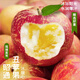 正宗云南昭通丑蘋(píng)果冰糖心蘋(píng)果當季鮮果紅富士蘋(píng)果新鮮水果 5斤 精品大果【80-85mm】
