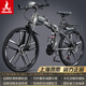 鳳凰（Phoenix） 鳳凰自行車(chē)可折疊山地車(chē)路虎男士成年人變速女式越野公路單車(chē) 十刀銀灰/折疊雙避震/全競速軸承 27.5寸30速【參考：168-198cm】
