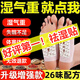 同仁堂老北京艾草足貼祛濕排毒濕氣排體內濕寒艾元氣茯苓八珍去濕氣暖 一盒裝50貼【輕度濕氣】