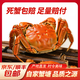 【活蟹-網(wǎng)兜裝】蟹趣鮮活大閘蟹包郵到家網(wǎng)兜裝 網(wǎng)兜3斤裝公母混搭10-15只保底三只母蟹