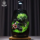 苔蘚微景觀(guān)辦公室diy桌面擺件禮物創(chuàng  )意造景生態(tài)瓶室內綠植盆栽 攀登+木質(zhì)燈座