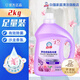 白貓沙龍香氛洗衣液2kg十效合一除菌除螨去污持久留香高效潔凈家庭裝 沙龍香氛洗衣液2kg*1瓶
