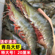 青島大蝦冰鮮水凍白蝦對蝦新鮮海捕商業(yè)批發(fā)海鮮水產(chǎn)品 凈重 1500g(凈重)  16-18cm【特大號大蝦】