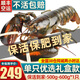 首鮮道【活鮮】波士頓龍蝦鮮活波龍 大龍蝦海鮮鮮活禮盒大蝦年貨禮盒 500-600g/只大龍蝦*1只（凈重）