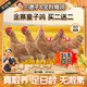 三德子好甄選金寨童子雞 跑山雞農家散養生態(tài)雞新鮮雞肉單只1.3斤以上 4只（單只1.3斤及以上）