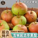 南步吉林延邊蘋(píng)果梨【順豐可選】東北特產(chǎn)龍井三合火紅梨新鮮水果送禮 5斤 精選中果【約12枚】普快