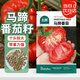 北蔬 馬蹄番茄種子種苗大西紅柿秋四季蔬菜種籽 北蔬馬蹄番茄種子30粒