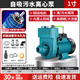 ZDK自吸泵220V大流量清水泵抽水機農用污水化糞池排污離心泵家用 750W 1寸（220v）清污兩用