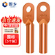 固鄉 DT銅鼻子 線(xiàn)鼻子 冷壓接線(xiàn)端子 銅線(xiàn)耳 紫銅接線(xiàn)電纜接線(xiàn)頭 接線(xiàn)鼻 國標 A級 25平方 單孔 5個(gè)裝