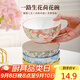 佩爾森釉下彩陶瓷米飯碗家用2025新款吃飯碗面碗家用碗碟套裝高顏值餐具 4.5英寸一路生花荷花碗-4色混裝