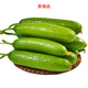 京地達山東水果小黃瓜  凈重5斤 單果100g+ 現摘新鮮蔬菜源頭直發(fā)包郵