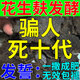 花生麩水肥發(fā)酵劑菜籽餅糞便酒糟專(zhuān)用油枯有機肥em菌種腐熟液體肥 200ml/瓶【花生麩發(fā)酵劑】