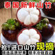 【順豐冷鏈】泰國進(jìn)口新鮮山竹水果當季孕婦鮮果山竹整箱批發(fā) 泰國山竹(5A大果) 【經(jīng)濟實(shí)惠】?jì)糁?.5斤