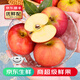 優(yōu)味集南非冰糖小蘋(píng)果【JD速發(fā)】進(jìn)口水果牛頓平安果整箱孕婦生鮮果 6枚裝（顆顆嚴選） 商超級精品果100-120g