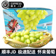 趣覓鮮懷來(lái)馬奶葡萄河北張家口宣化白馬奶提子沙城牛奶葡萄新鮮水果 白馬奶5斤凈重
