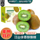 桃西村江山徐香獼猴桃【順豐】衢州特產(chǎn)綠心彌猴糊桃奇異果中秋送禮水果 4.5-5斤 大果【單果90-110g】