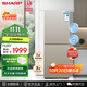 SHARP夏普冰箱 雙開兩門風(fēng)冷無霜租房小型家用小型電冰箱 大冷凍 鈑金面板 無邊框懸浮設(shè)計(jì)冰箱以舊換新 196升米羅金玻璃面板BCD-196WTGE-N