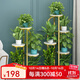 索爾諾（SuoErnuo） 花架時(shí)尚客廳落地式置物架陽(yáng)臺布置簡(jiǎn)約現代花盆架植物擺放花架  金色-五層六盆【高106.5cm】