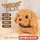 Honey Joy兒童毛絨玩具電動(dòng)寵物狗仿真泰迪狗狗會(huì )叫可走路男女孩禮物