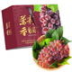 鮮聞果云南茉莉香葡萄新鮮無(wú)籽郁金香葡萄當季孕婦水果甜紅提整箱禮盒 新鮮現摘-1斤【精選裝】