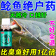 谷道香臭魚(yú)餌釣鯰魚(yú)專(zhuān)用腥餌料釣魚(yú)小藥強效誘魚(yú)添加劑野釣黑坑小藥全套 一瓶【專(zhuān)釣大鯰魚(yú)】