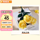 奇妙（keeppley）積木玫瑰花束永生花束擺件玩具女孩生日禮物七夕禮物 陽(yáng)光之吻