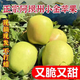 小金蘋(píng)果5斤四川阿壩州特產(chǎn)酸甜脆爽時(shí)令當季孕婦水果小金青蘋(píng)果M 5斤【整箱精選速發(fā)裝】