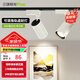 三雄極光 星際LED軌道射燈COB射燈展廳展柜導(dǎo)軌燈具服裝店射燈超亮 星際Ⅱ35W 暖白光 24度 白色