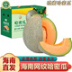 南步海南哈密瓜 曉蜜25號甜瓜西州蜜網(wǎng)紋瓜玫瓏瓜新鮮水果整箱禮盒裝 哈密瓜 5斤 精選果【1-3個(gè)裝】