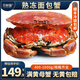 英國進(jìn)口面包蟹新鮮熟凍海鮮水產(chǎn)大膏蟹黃道蟹 600-800g*2只【特大滿(mǎn)膏】