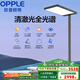 歐普（OPPLE）燈大路燈大臺(tái)燈定制全光譜立式護(hù)眼臺(tái)燈學(xué)習(xí)作業(yè)閱讀鋼琴燈 L1pro黑 上下分控