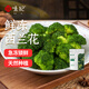 悅味紀 鮮凍西蘭花500g 西藍花 冷凍蔬菜 半成品方便菜速食