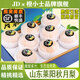 橙小士【順豐快遞】精品山東萊陽秋月梨新鮮水果中秋禮盒豐水梨整箱 9斤精品大果【單果300g+】