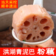洪湖青泥巴優(yōu)選蓮藕煲湯粉藕面藕湯藕蔬菜 洪湖青泥巴優(yōu)選蓮藕 4斤