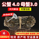 【活蟹】陽(yáng)澄高高大閘蟹 現貨鮮活特大螃蟹公蟹母蟹 活蟹生鮮禮盒 5對10只裝 公蟹 4.0-4.3 母蟹 3.0-3.3 蘇州精挑蟹