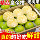 壹萌果蔬廣西皇帝柑純甜【多地次日達】新鮮水果薄皮蜜桔橘子沃貢柑貢桔子 凈重4.5斤裝【80%選擇丨超值推薦】 王者級｜單果65mm+【稀有果王】