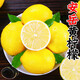 果食鮮豐安岳黃檸檬新鮮黃檸檬可切檸檬干片泡水泡茶做檸檬水 安岳黃檸檬 80g~100g（中果） 1斤